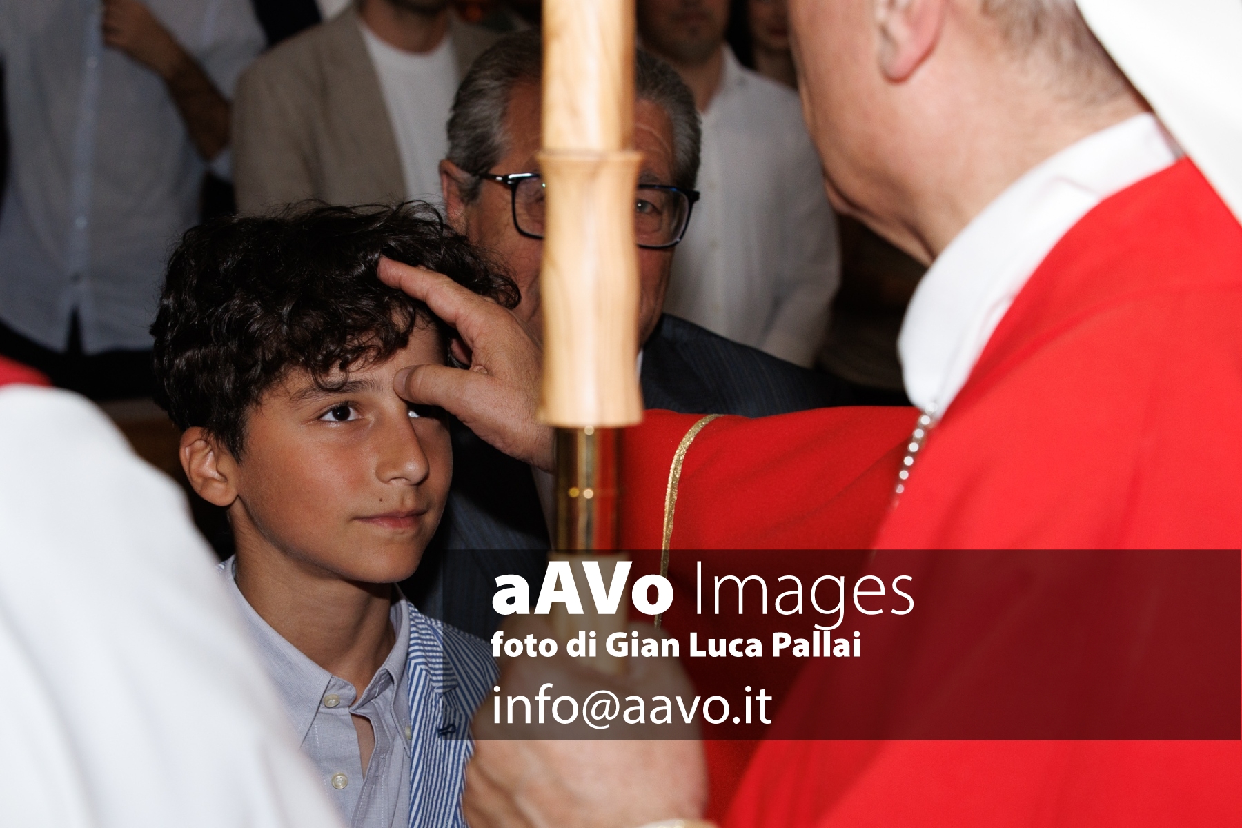 GLP_2215