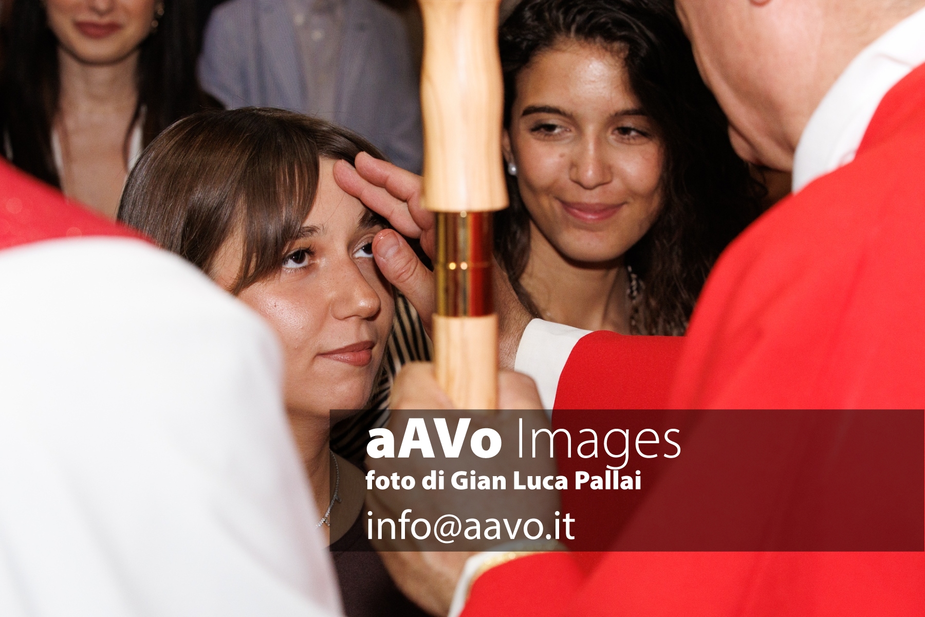 GLP_2314