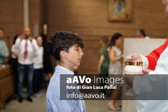 GLP_2629