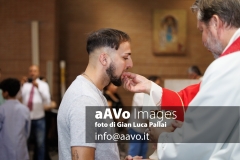 GLP_2633